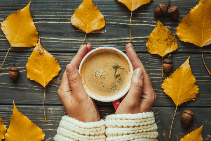 Hands clutching a mug of hot chocolate surrounded by yellow leaves and acorns