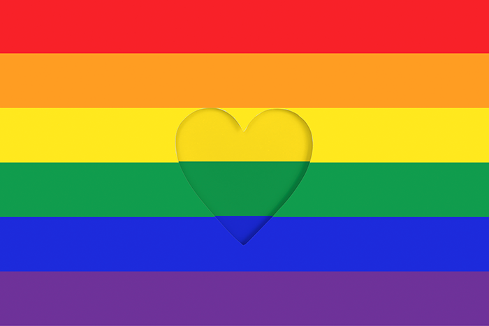 lgbtq+ pride flag with heart in center