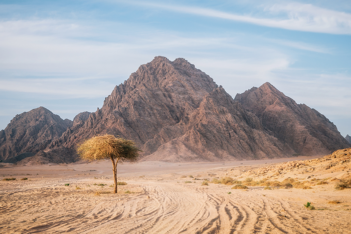 am image of Mt. Sinai in the dessert