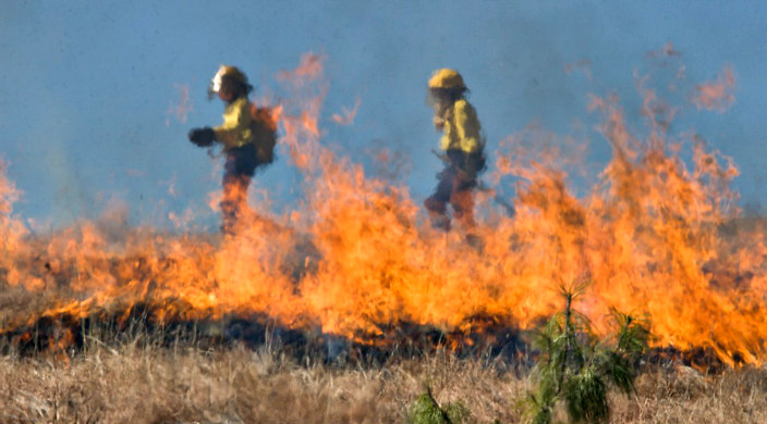 Firefighters work to put out a wildfire blazing across dry land 
