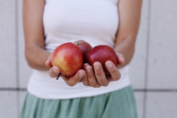 A womans outstretched hands holding three red apples