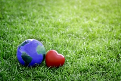 earth and a heart on the grass