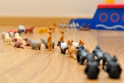 toy animals two by two