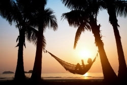 Silhouette of a person reading a book in a hammock at sunset