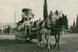 Horse drawn cart in mid-1940s omer festival on Israeli kibbutz