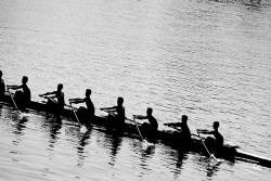 crew members rowing in a boat
