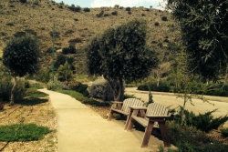 Walkway and benches at Moshav Shorashim in the Galilee region of northern Israel