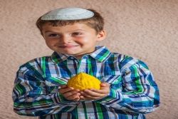 Child holding an Etrog for the Jewish holiday of Sukkot