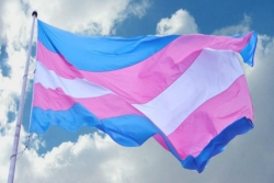 Trans flag blowing in the wind against a blue sky 