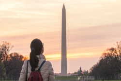 Back of a womans head as she gazes at the Washington Monument