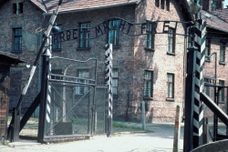 The gates of auschwitz