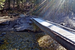 Sunlight shining upon a footbridge in a forest