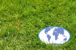 picture of the Earth lying on a patch of grass