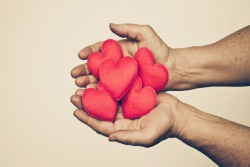 Pair of hands, palms upward with red, heart-shaped objects in the palms