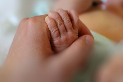 holding a newborn's hand