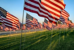Flags for the national holiday of U.S. memorial day