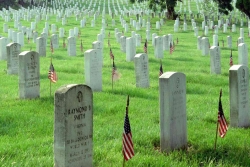 Veterans graves with American flags for U.S. Memorial Day