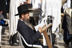Seated Orthodox Jewish man reading the Torah at the Western Wall
