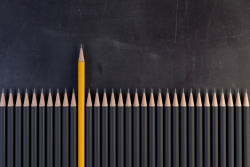 A row of black pencils, points upward, with one taller yellow one in the middle