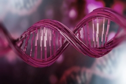 In the foreground, a digitized image of a double helix in various shades of pink and magenta