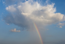 Rainbow coming out of a fluffy white cloud amid a blue sky
