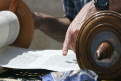 Open Torah scroll with finger pointing to text
